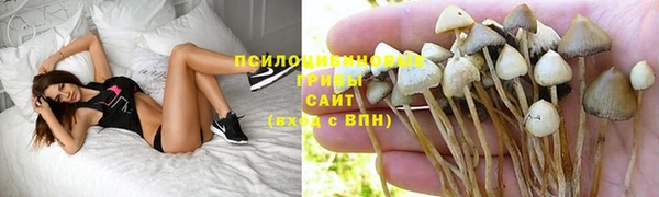 дживик Богородск