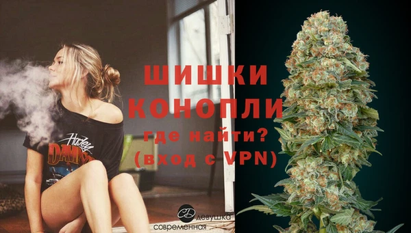 дживик Богородск