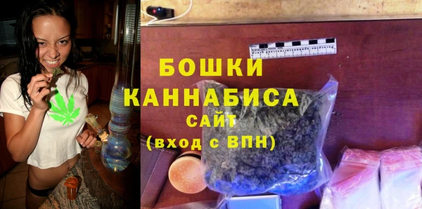 дживик Богородск