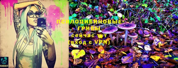 гидропоника Богородицк
