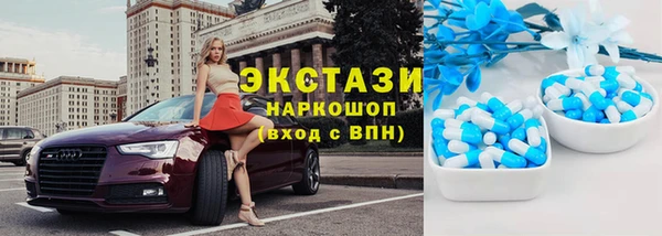 дживик Богородск