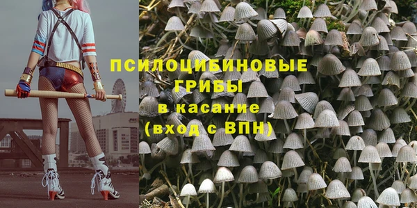 гидропоника Богородицк
