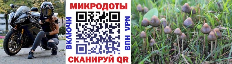Псилоцибиновые грибы Psilocybine cubensis Златоуст